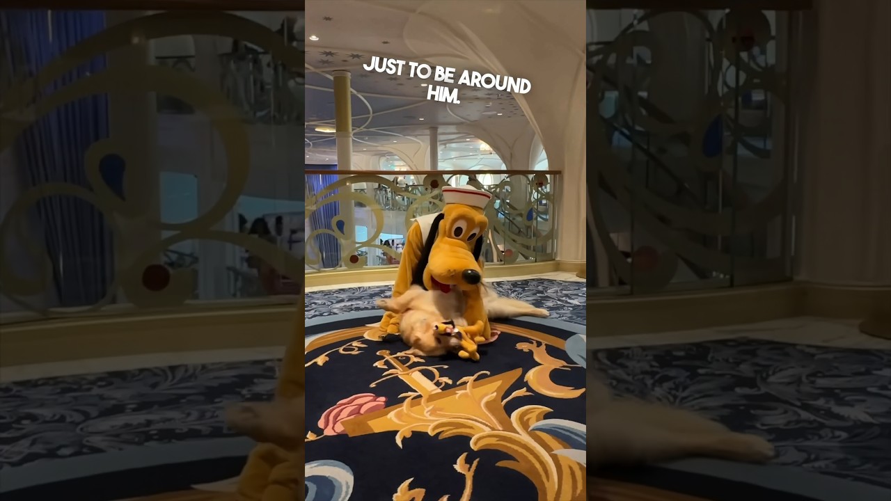 Her service dog got to meet his favorite Disney character ❤️ @radiantlygolden