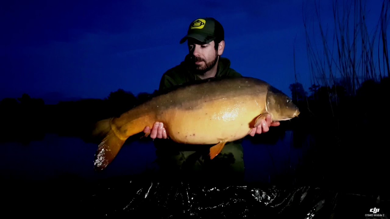 PECHE DE LA CARPE  Domaine des Freaux CENTRAL CARPE
