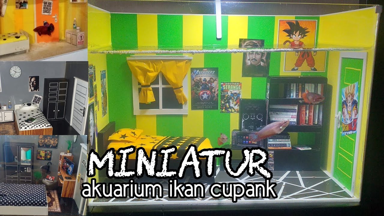 Akuarium Kamar kos ikan cupank