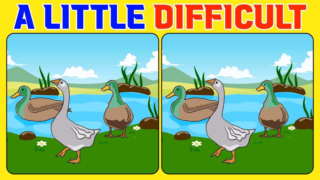 🧠🧩Spot the Difference | Puzzle Games 《A Little Difficult》