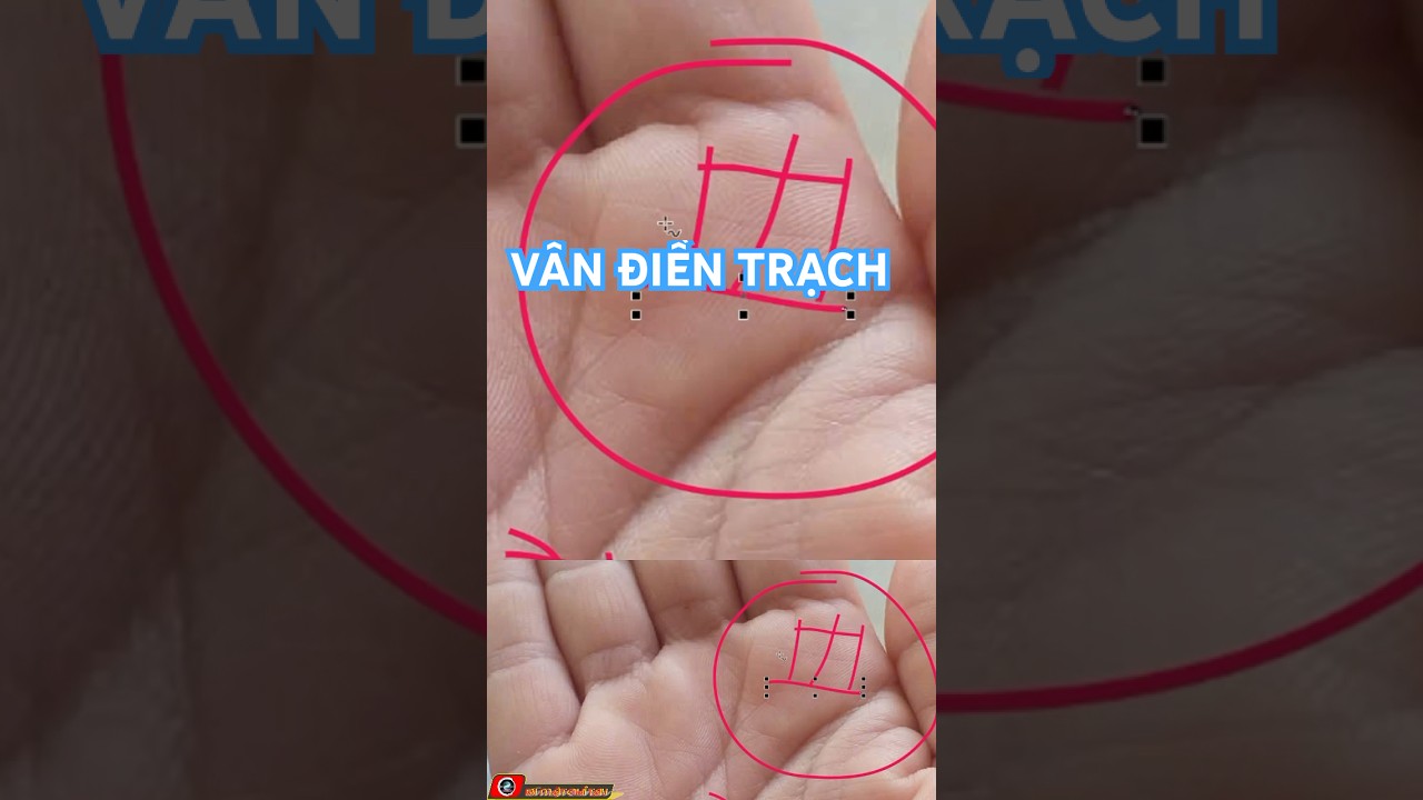 Xem tướng tay - V&acirc;n Điền Trạch @BIMATCHITAY #xemtuongtay #xemchitaymienphi #phongthuy
