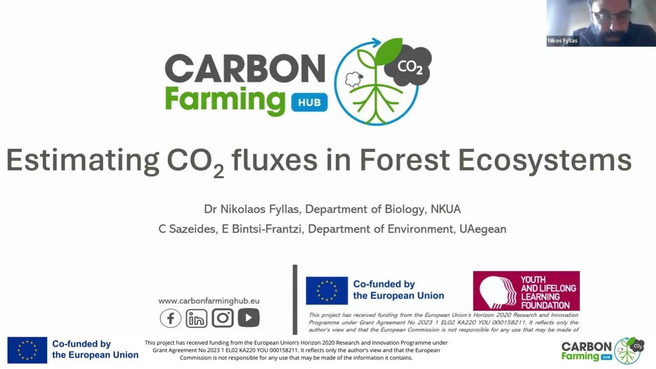 Estimating CO2 fluxes in Forest Ecosystems