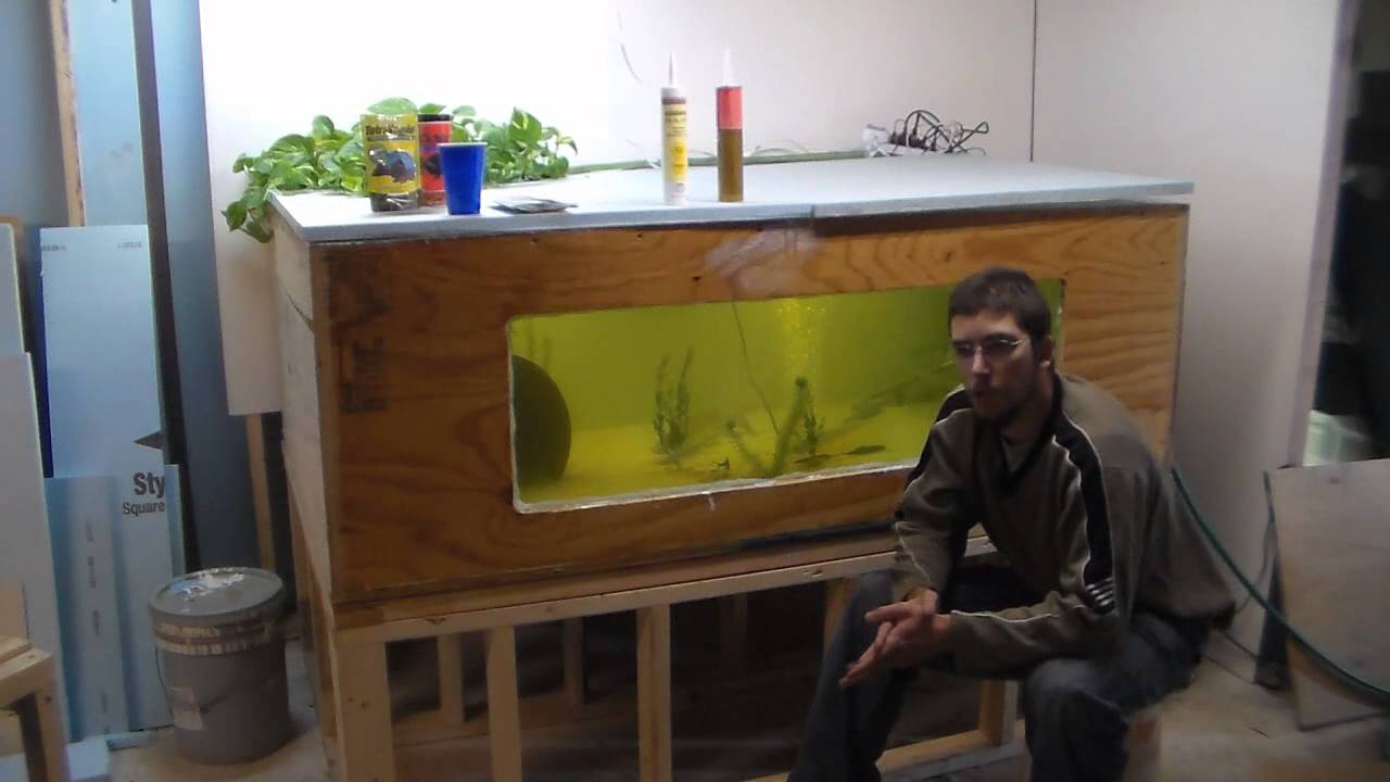300 Gallon Plywood Tank - Build and Advice - Cheapest