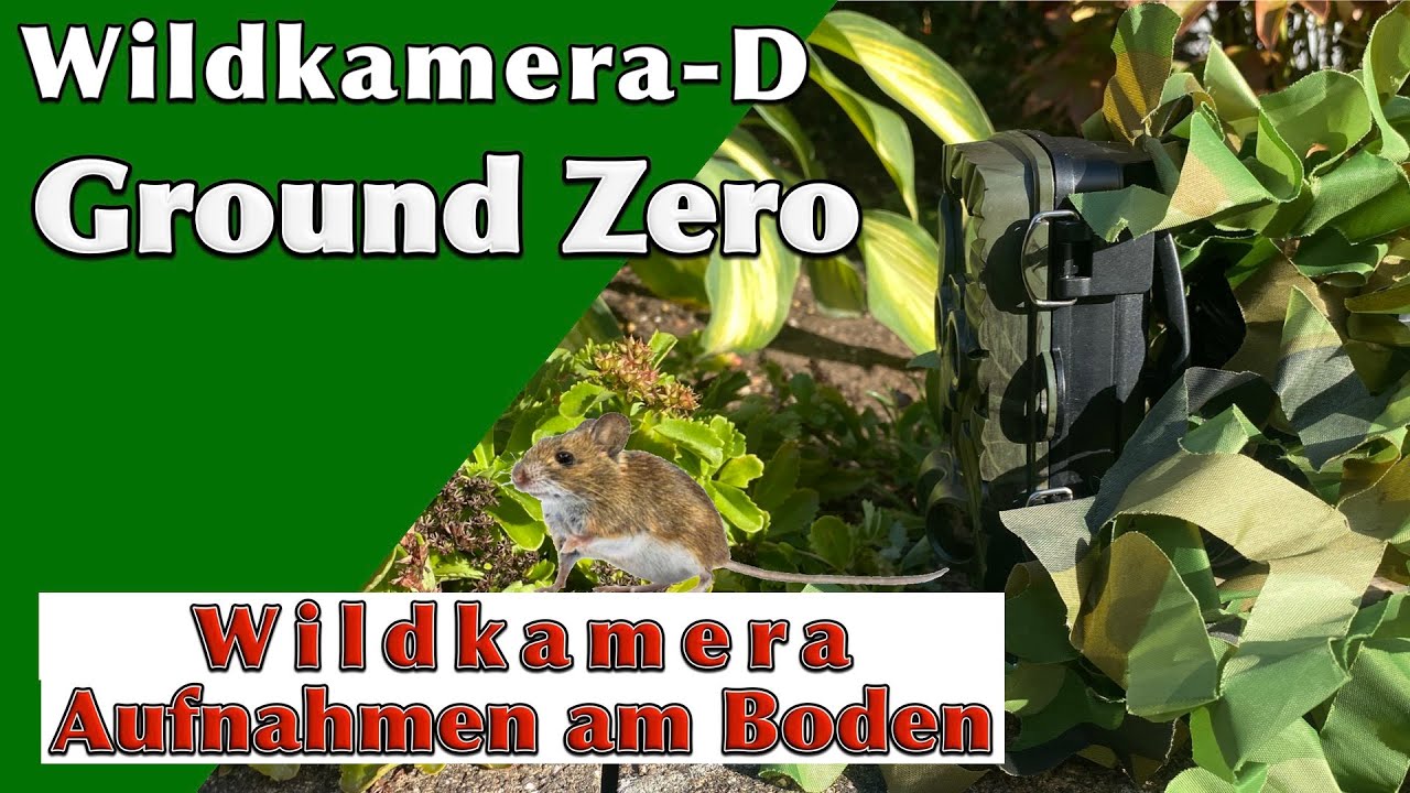 Wildkamera auf ground zero. Bodennah aufnehmen mit einfachem Zubeh&ouml;r