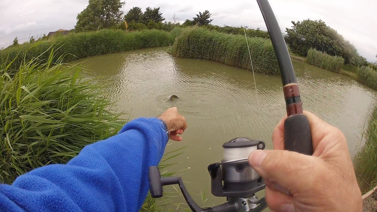 Catching Catfish on a PARASITE!!
