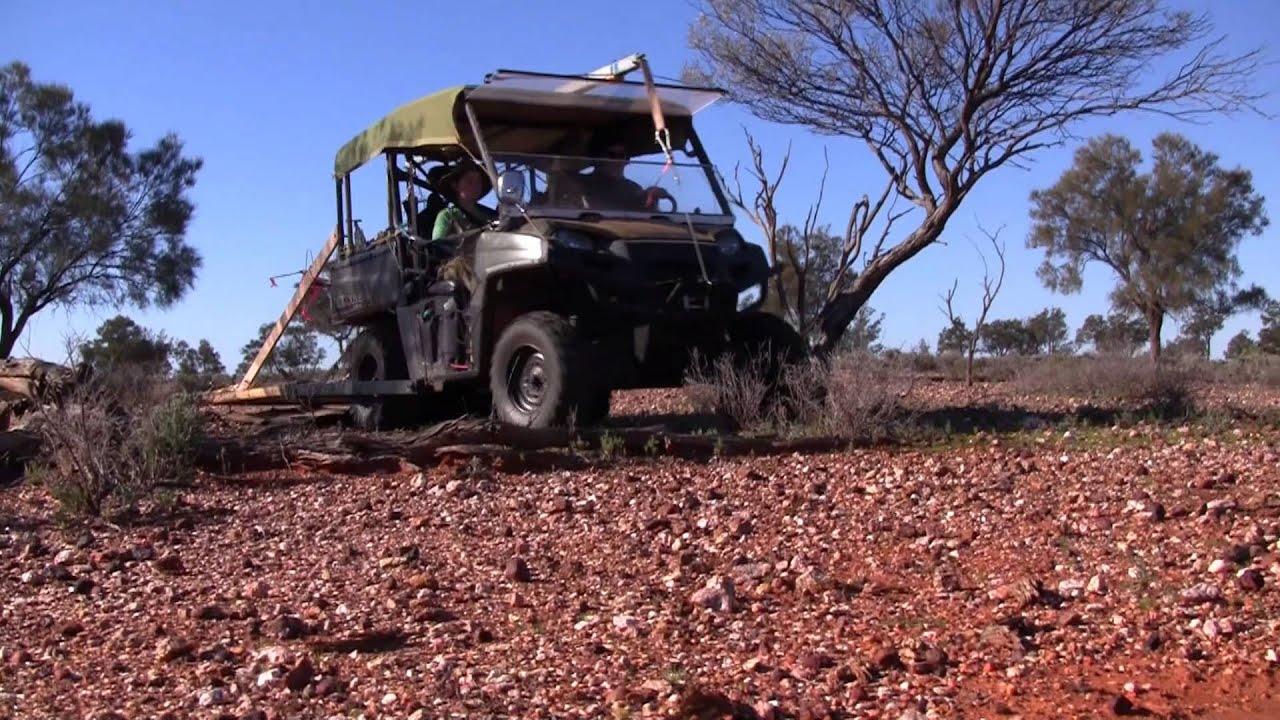 big coil finds Gold Nuggets