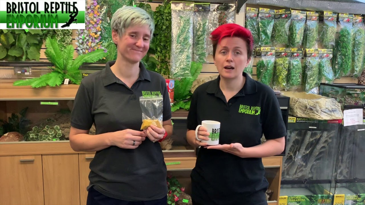 Reptile Health Bee Pollen