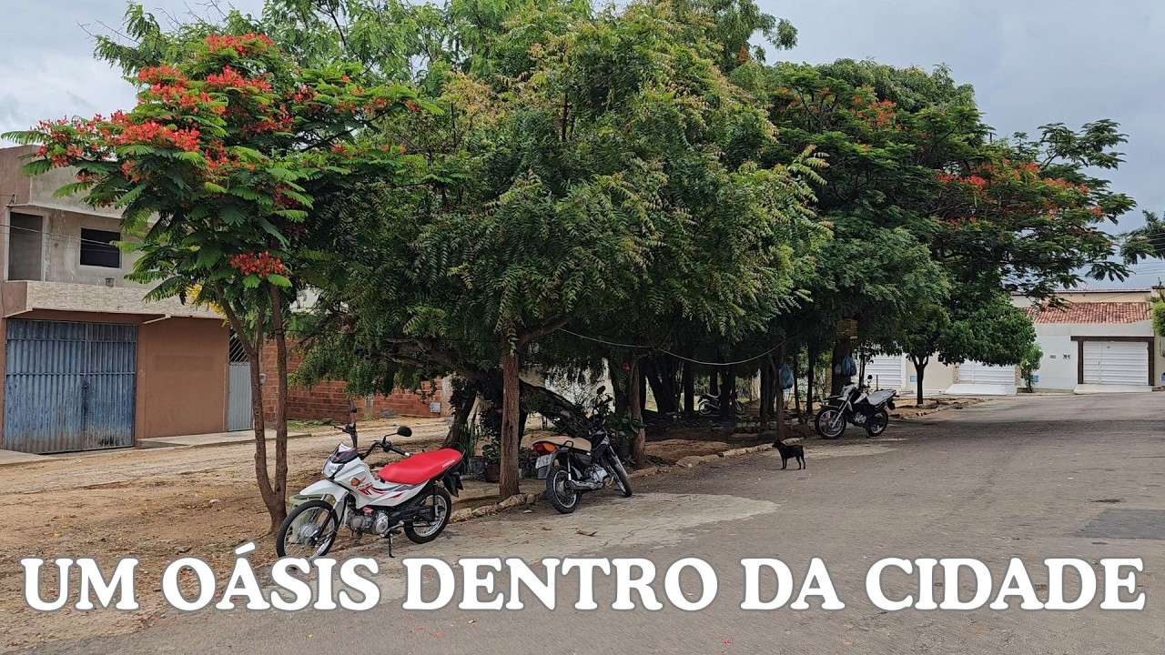 CONJUNTO ARTHUR CAVALCANTE - MONSENHOR TABOSA CEARÁ