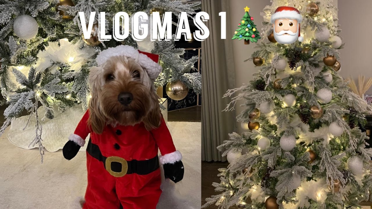 VLOGMAS 1