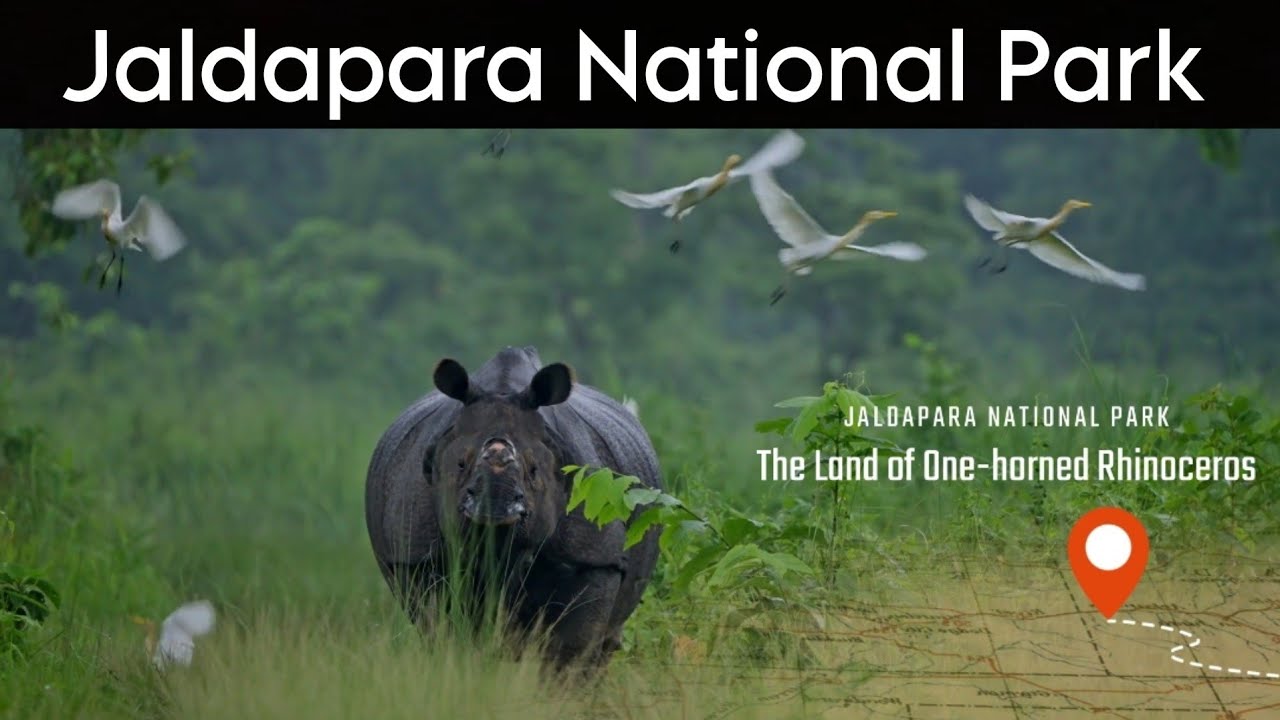 Jaldapara National Park - Jungle Safari | Everest Resort - Bengal ka Taj Mahal | Dooars Tour
