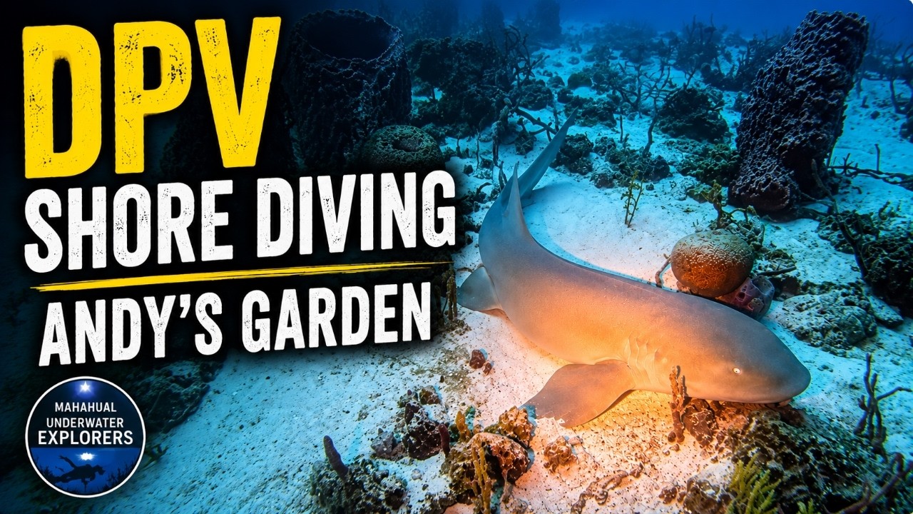 Andy's Garden - Mahahual, Quintana Roo, Mexico