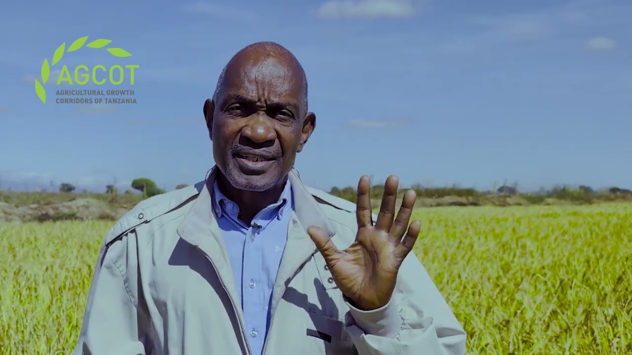 Tanzanian Entrepreneur Bridges Gap Between Local Farmers and UK Tables