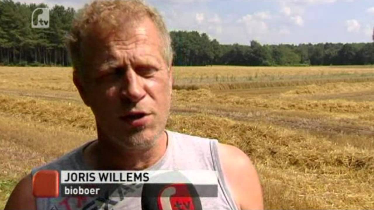 GageleerTV - De oogst  van biologische brouwgerst