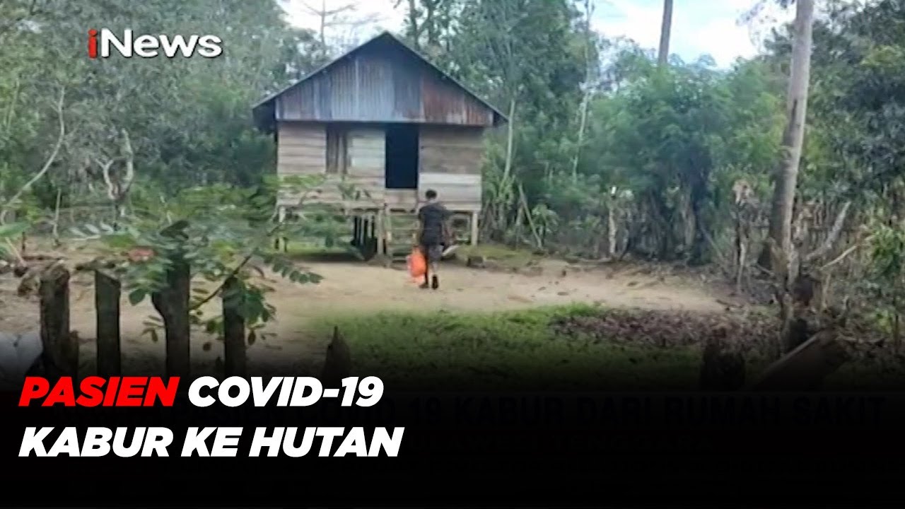 Pasien COVID-19 Kabur dari Rumah Sakit ke Hutan  #iNewsMalam 21/07
