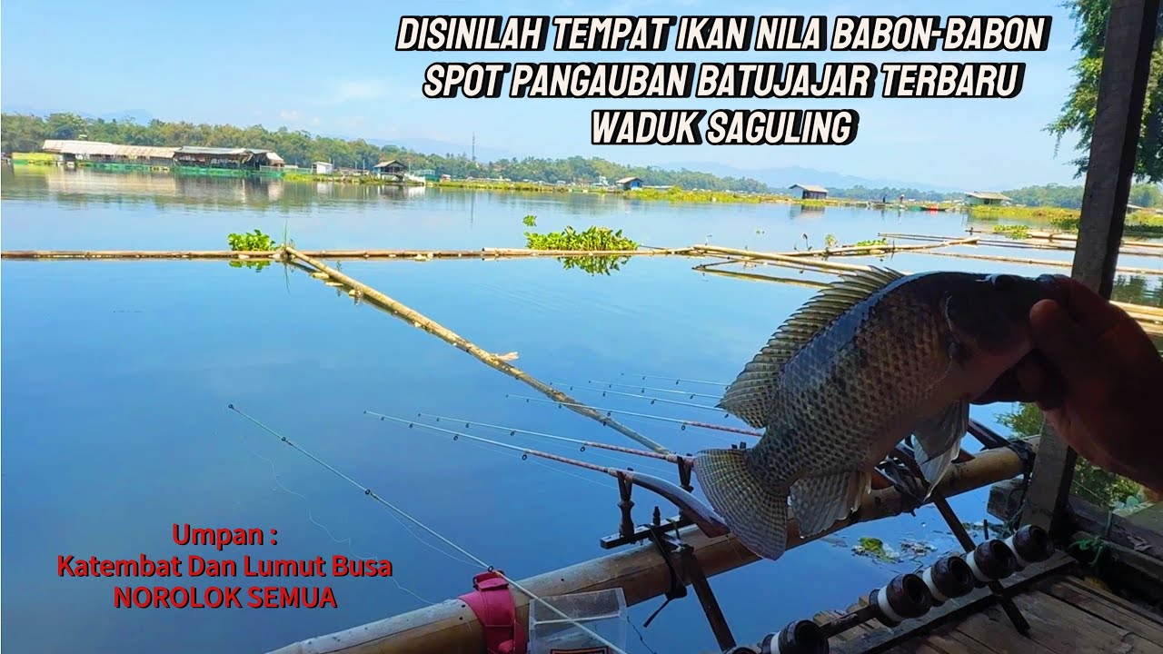 SERANGAN IKAN NYA MENDADAK BABON SEMUA DI SPOT ANTI ZONK INI