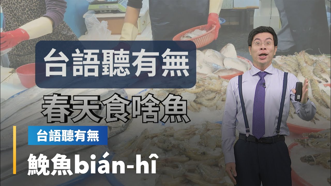 【台語聽有無】春季時令魚相關台語按怎講｜台語新聞 #鏡新聞