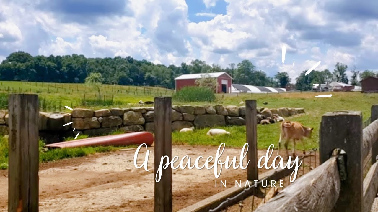 A peaceful Day In nature| SLOW LIVING | RELAXING MUSIC |SILENT VLOG