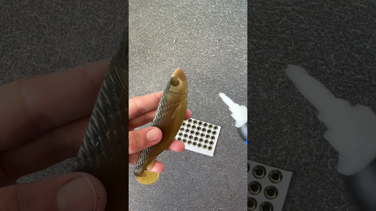Fully Custom Swimbait 😂🤦