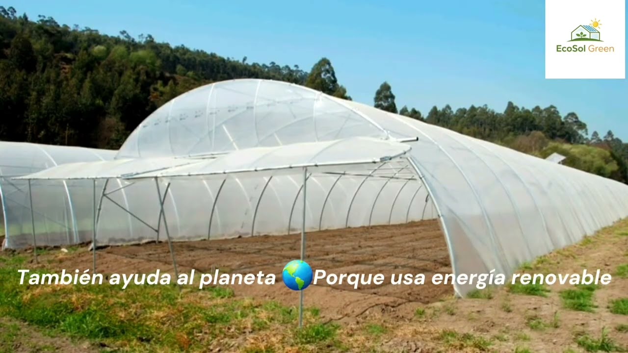 Invernaderos solares: forma útil y inteligente de aprovechar el sol