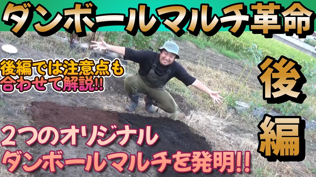 【雑草対策】工夫とアイデア炸裂の後編!!100均アイテムと過去に登場した○○を使ってダンボールマルチ革命!!最後にはダンボールマルチの注意点をまとめております。【家庭菜園】【ガーデニング】【園芸】