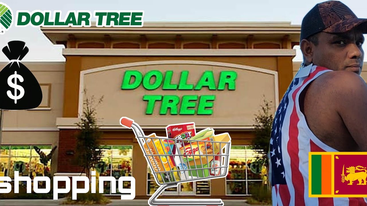 DOLLAR  TREE  USA 4th of july Shopping 2022 🇺🇸