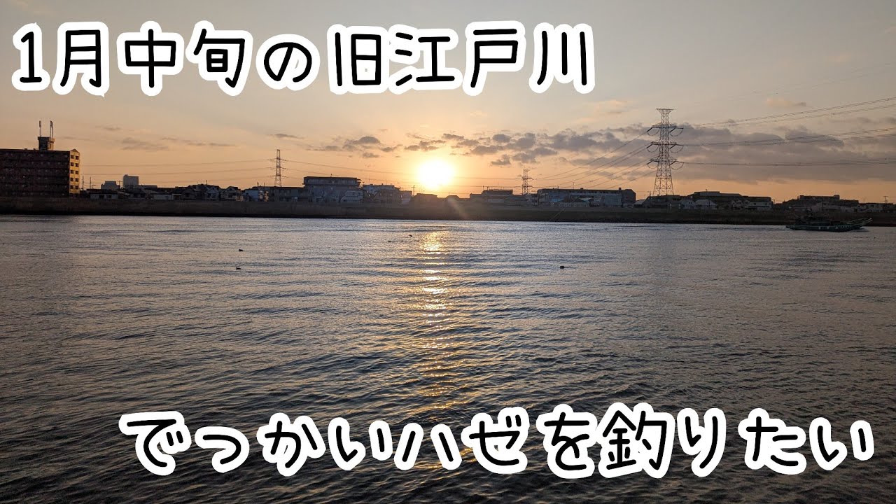 でっかいハゼを釣りたくて早朝から河口へ