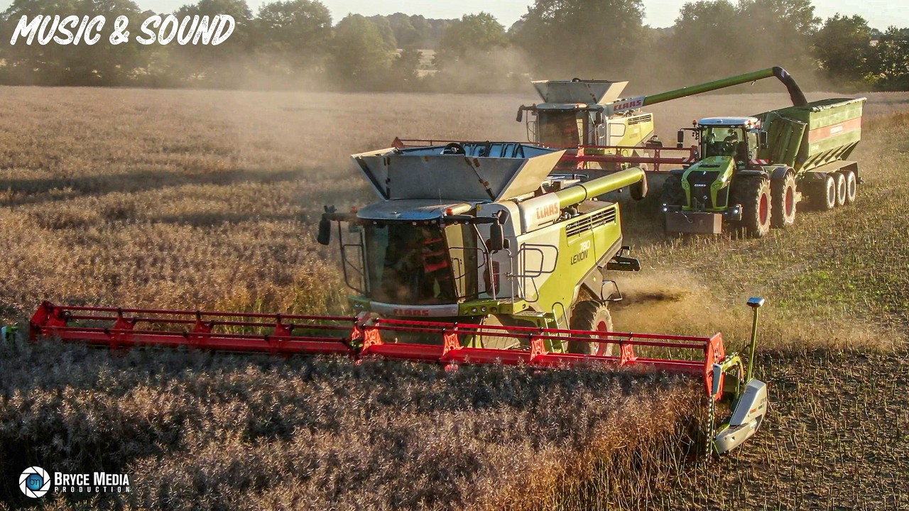 Claas Lexion 780 Mähdrescher x2 & Claas Xerion 4200 mit Bergmann bei der Rapsernte / MUSIK & SOUND