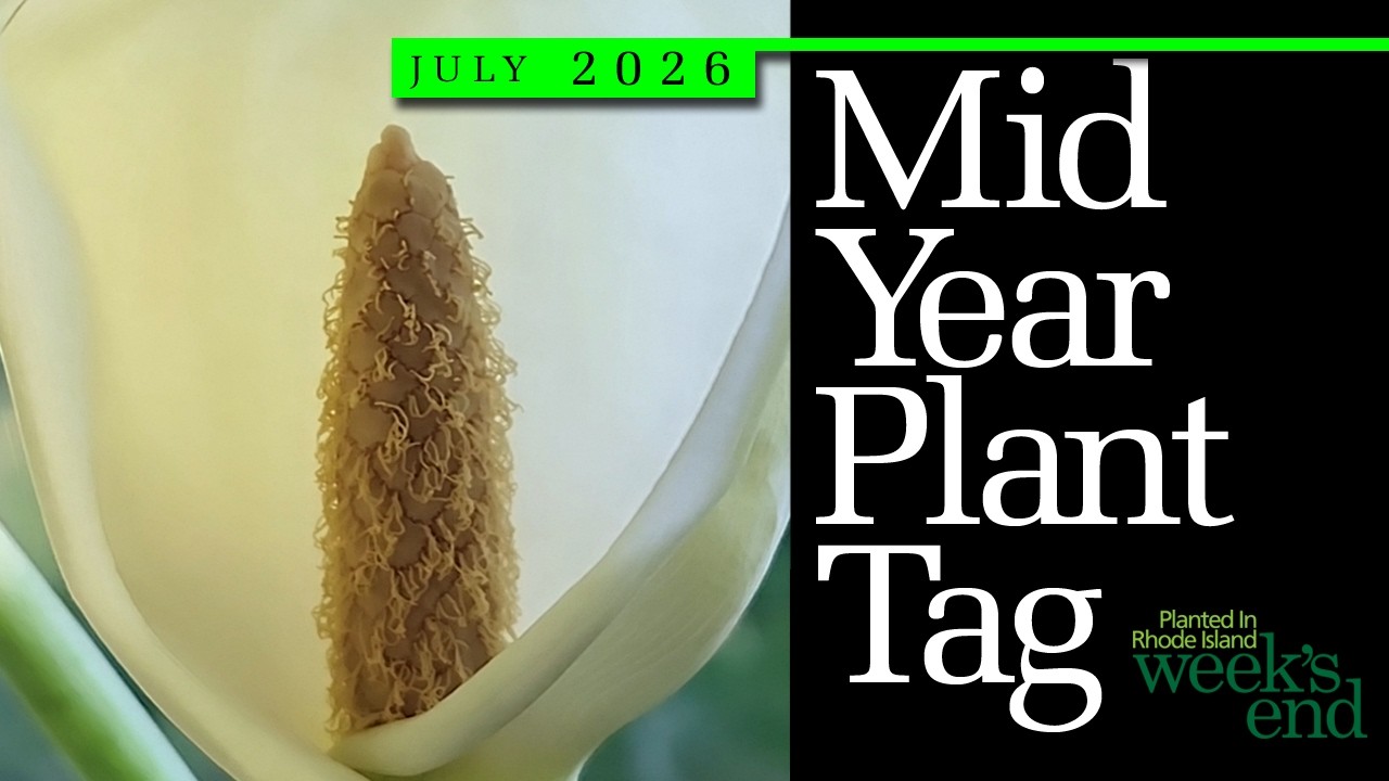 MID YEAR PLANT TAG | 12 вопросов и ответов о растениях в середине года и новая лампа для выращива...