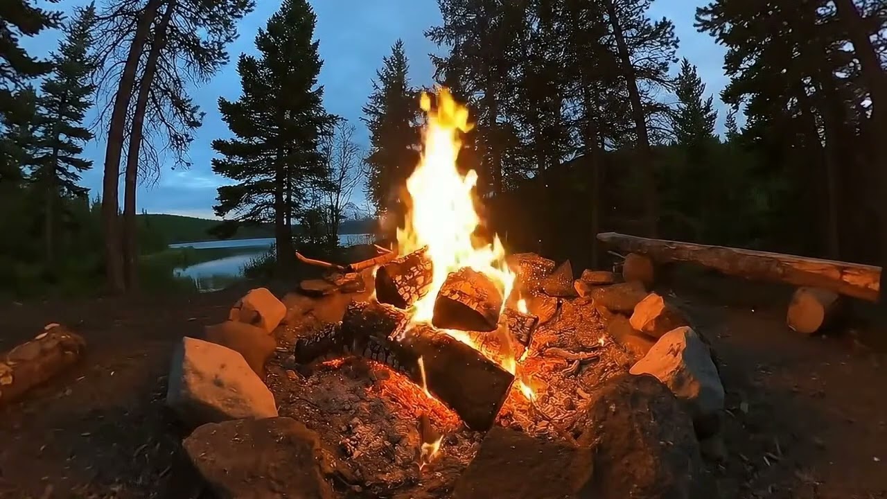 Live Fireplace | 12 Hour Cozy Fire Ambience for Sleep, Stress Relief & Relax