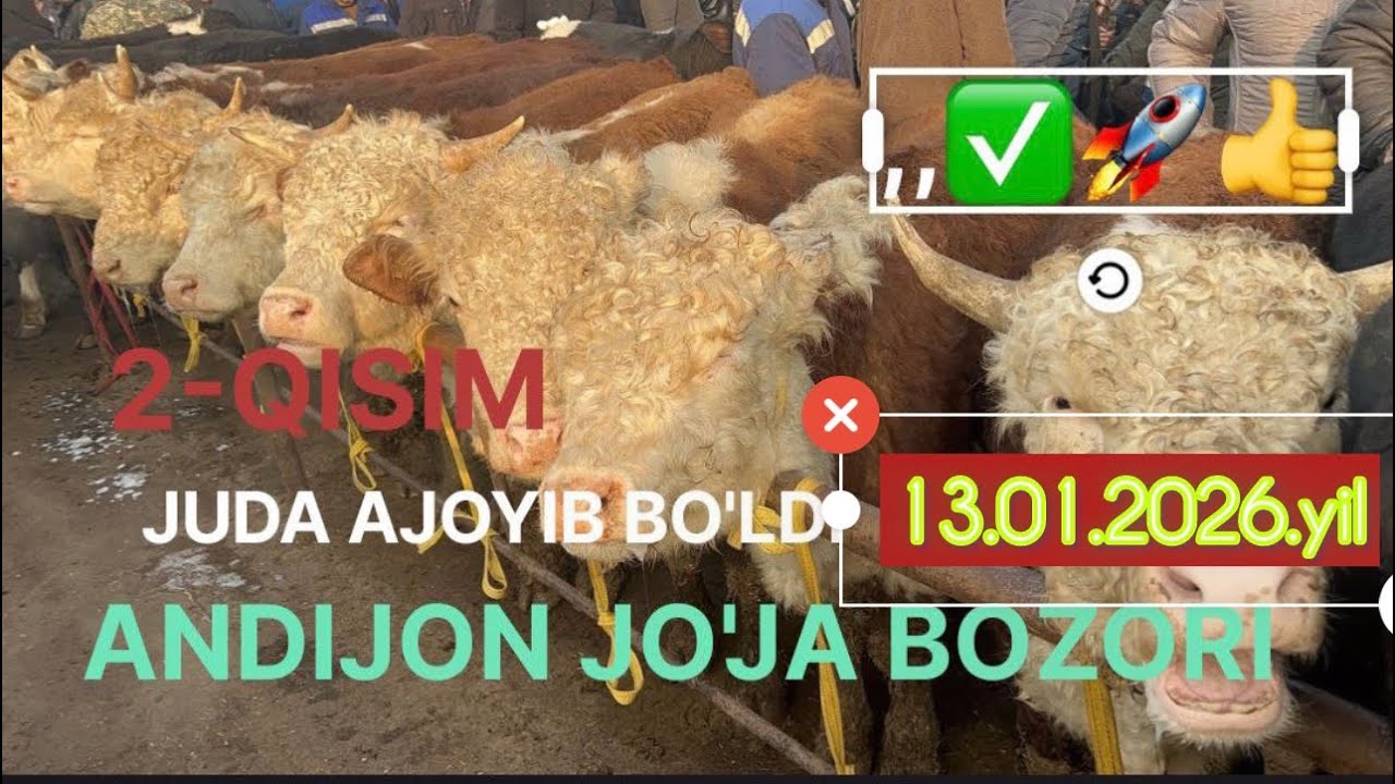 ANDIJON JOJA MOL BOZORI 🚀🚀👍👍😱😱@boydada_uz JUDA AJOYIB BO’LDI