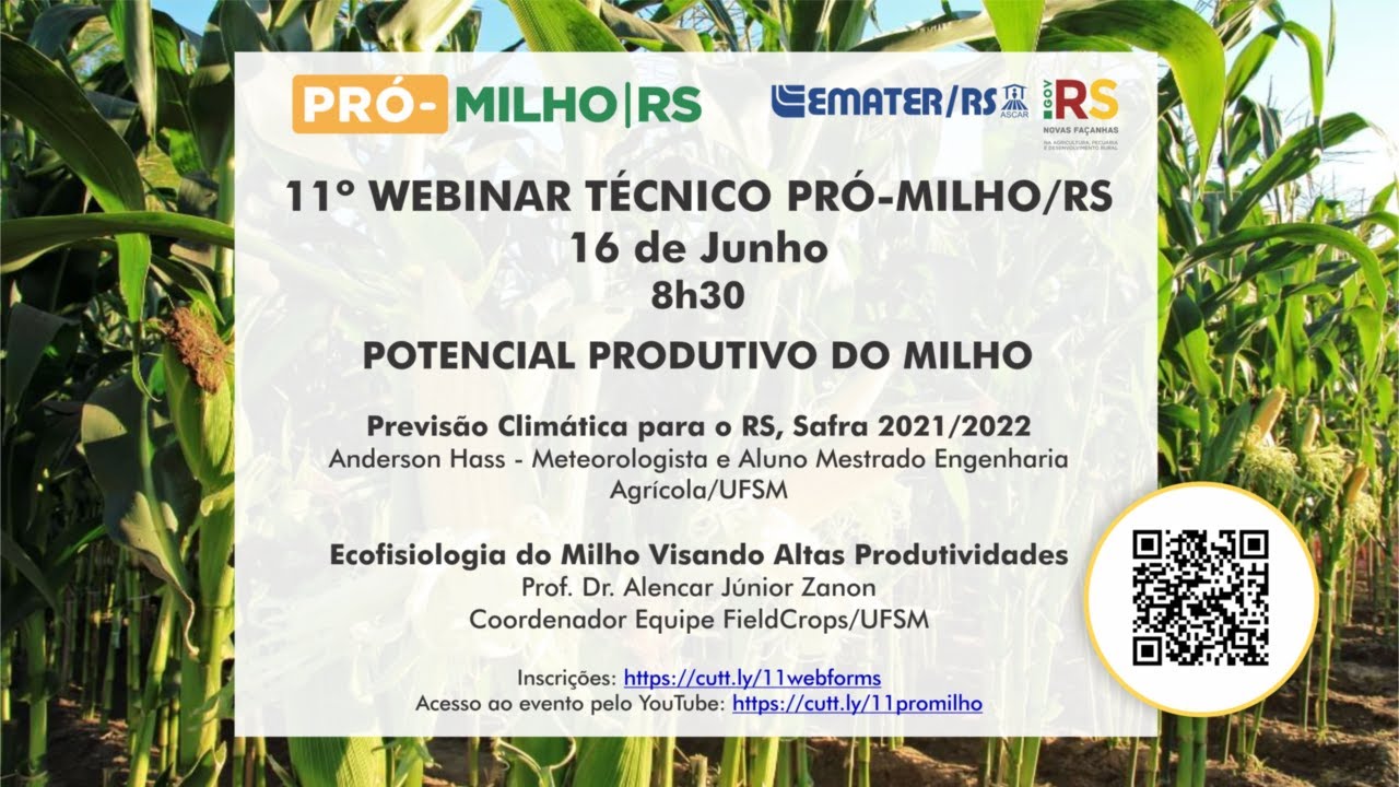 11&ordm; WEBINAR T&Eacute;CNICO PR&Oacute;-MILHO/RS: Potencial produtivo do milho