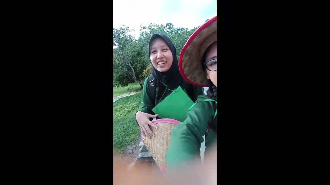 Apa aja