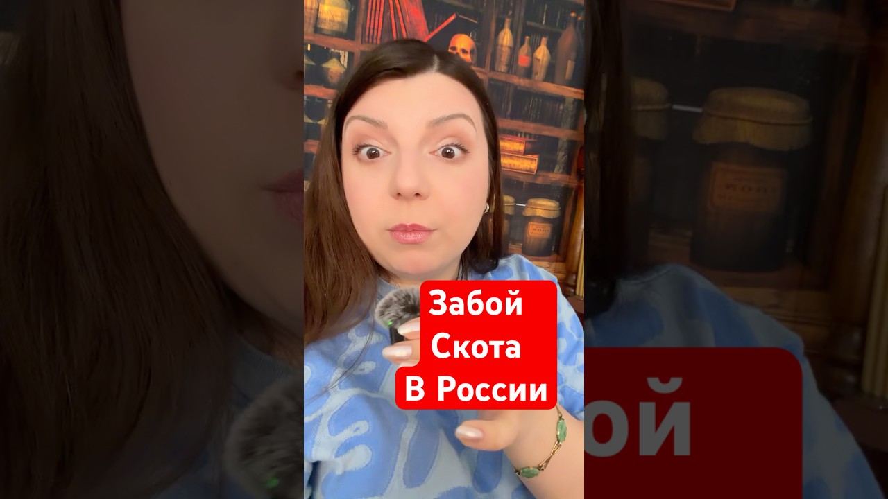 Забой Скота в России #тароюлияпетрова #таро