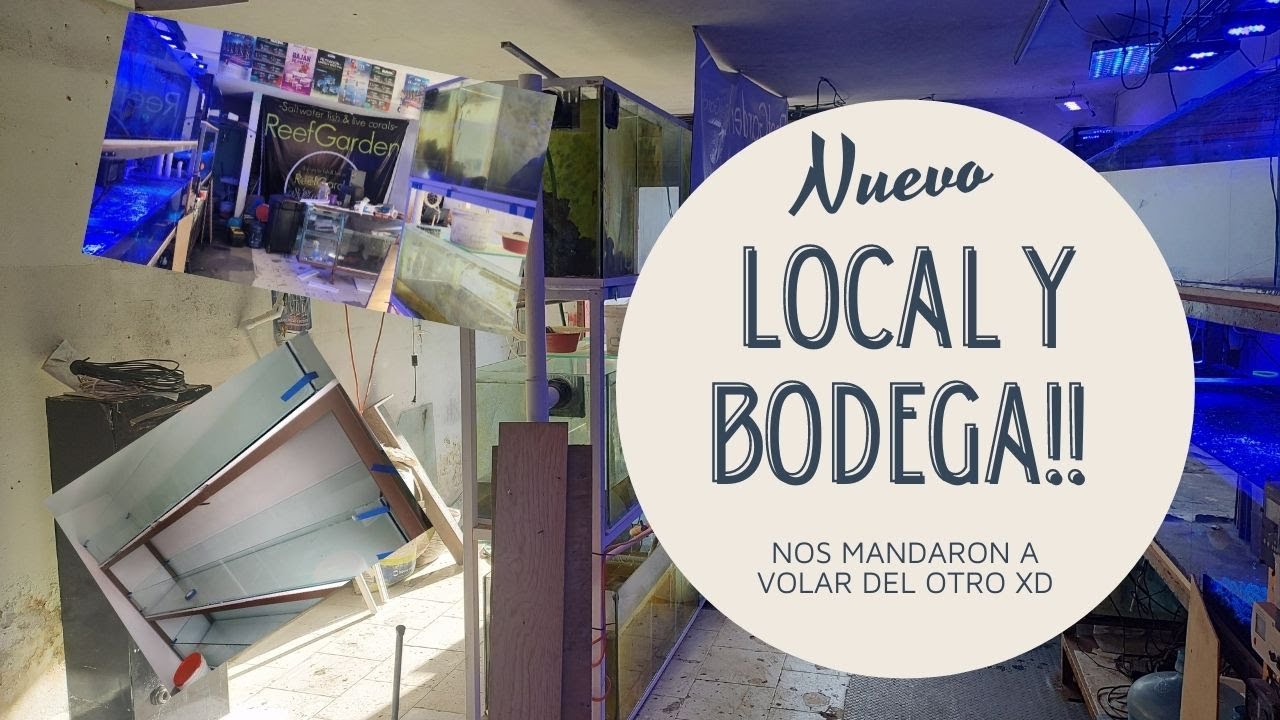 Nos cambiamos de local