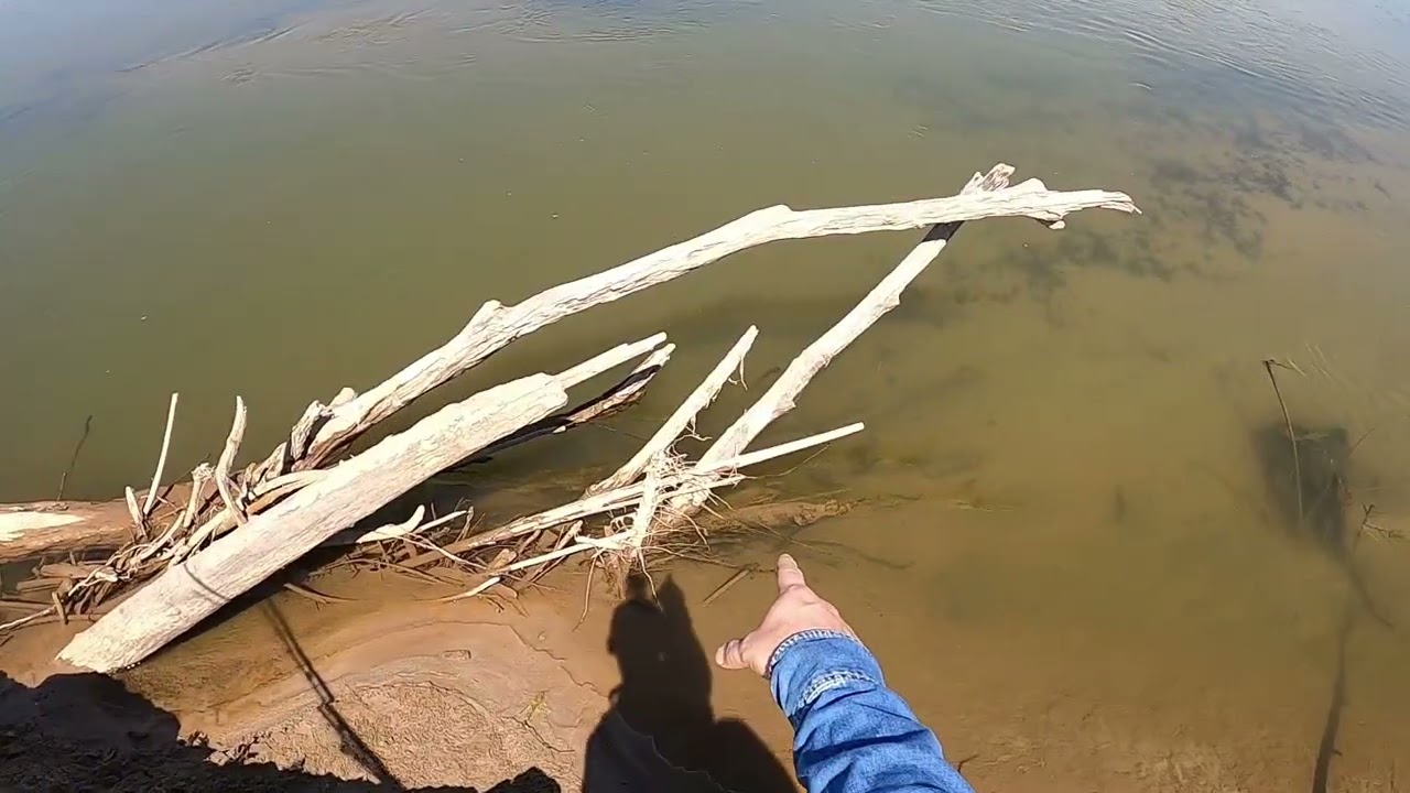 Pesca Bermejo 2025