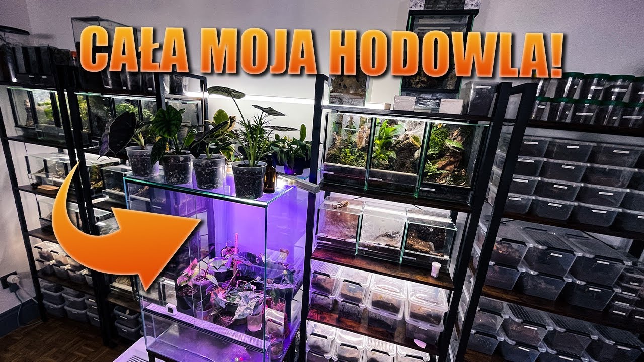 #139 Przegląd hodowli