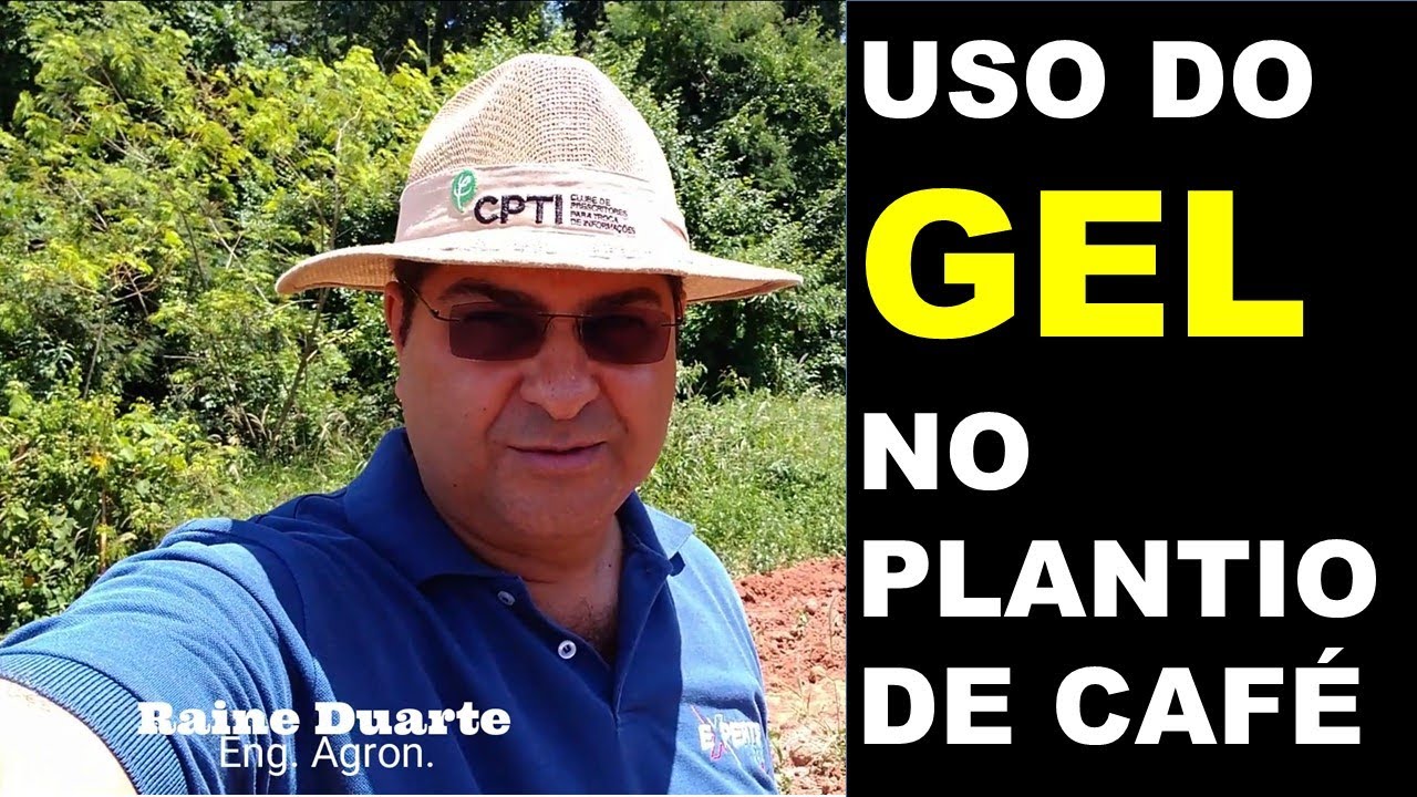 Uso do #GEL NO PLANTIO DE CAFÉ#