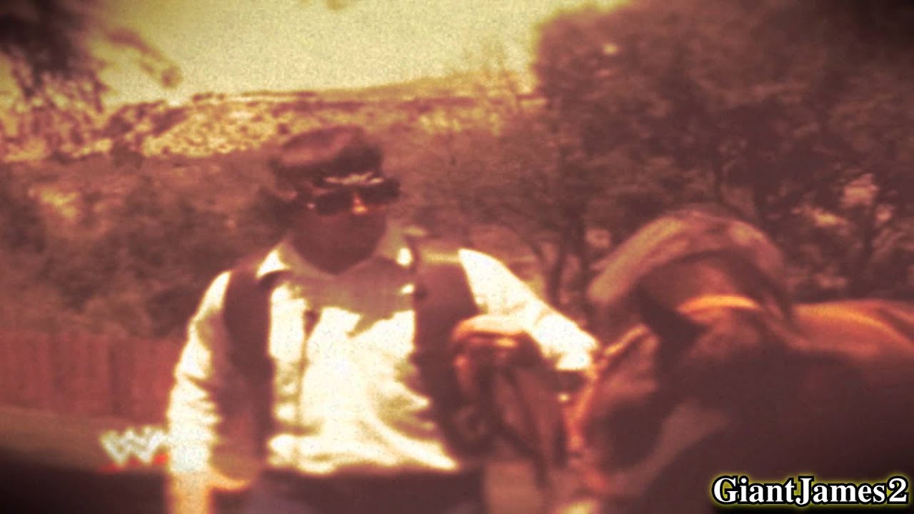 HD Terry Funk || Country Badass