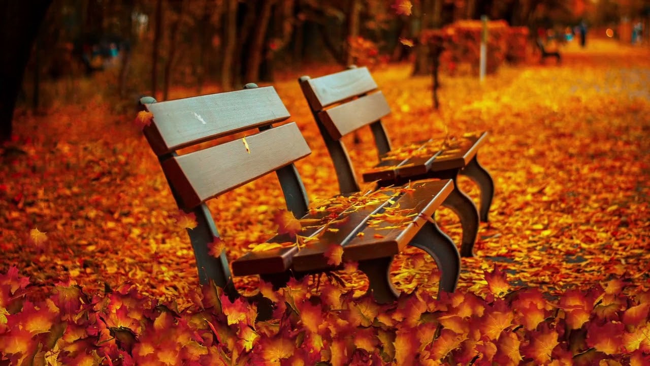 Relax music. The best. Collection of BEAUTIFUL music for the soul Sergey Chekalin. SERGEY RELAX.