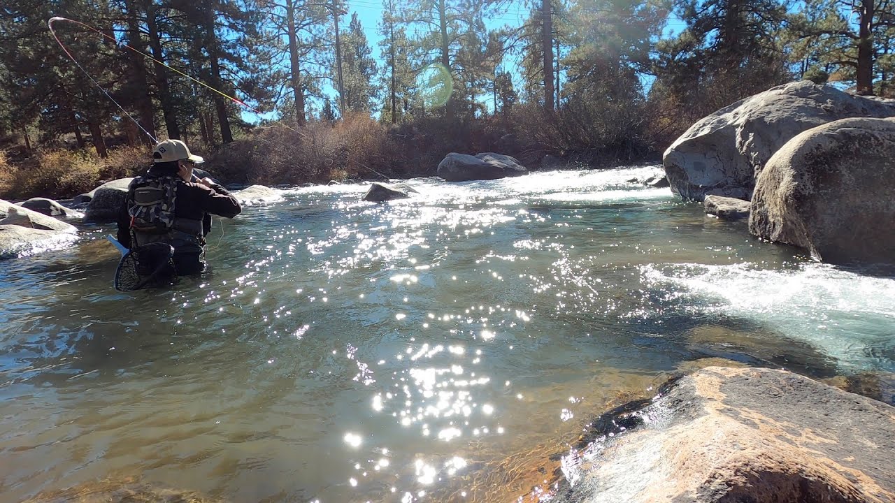 Fly Fishing with Miles of Trout Creek Outfitters
