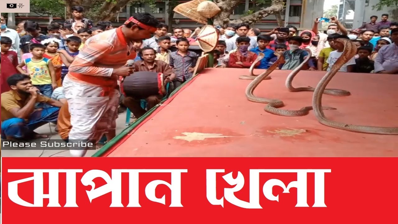 ঐতিহ্যবাহী ঝাপান খেলা । Snake Game। TR TV