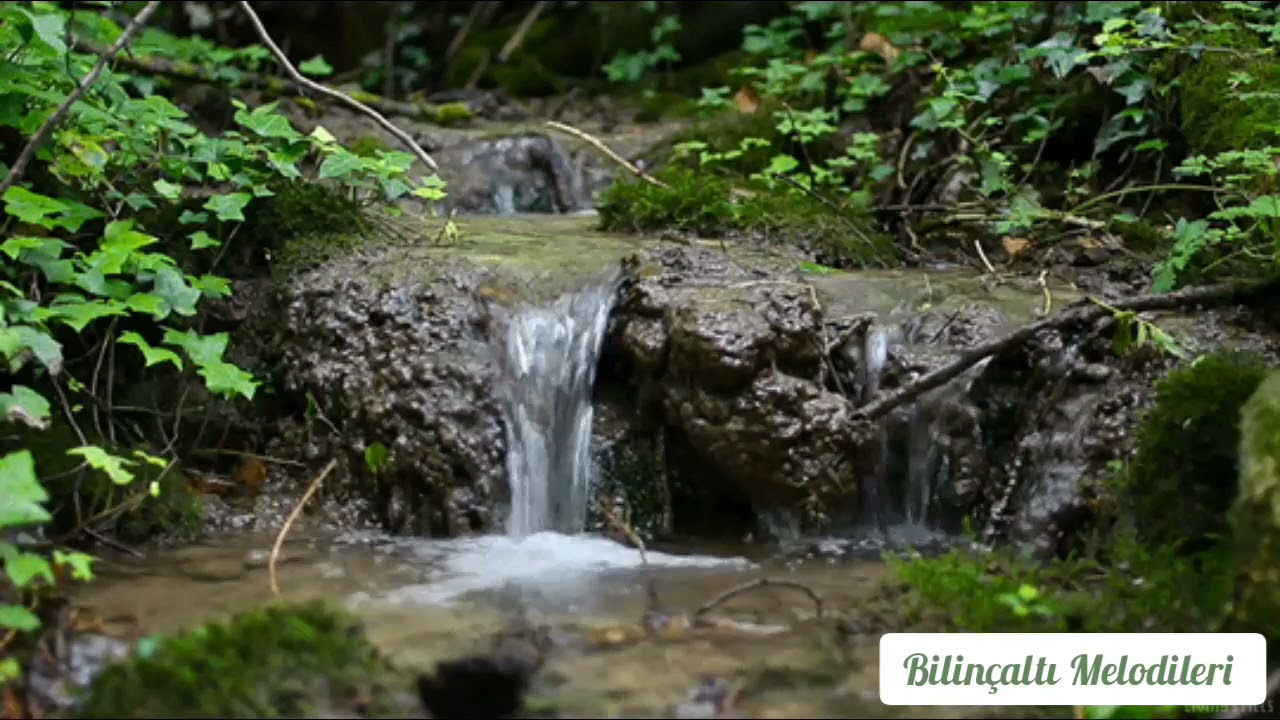 Dinlendirici Akan Su Sesi ( Relaxing Flowing Water Sound ) - 2021