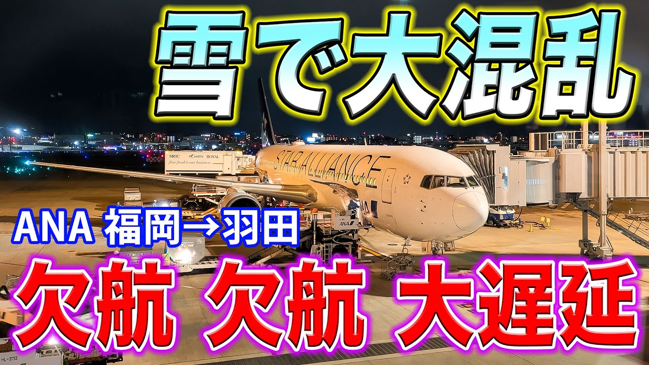 【総崩れ】寒波で羽田が大混乱！大量に欠航し、飛ぶ便も大幅遅延！絶望しかけた福岡ー東京ANA便！