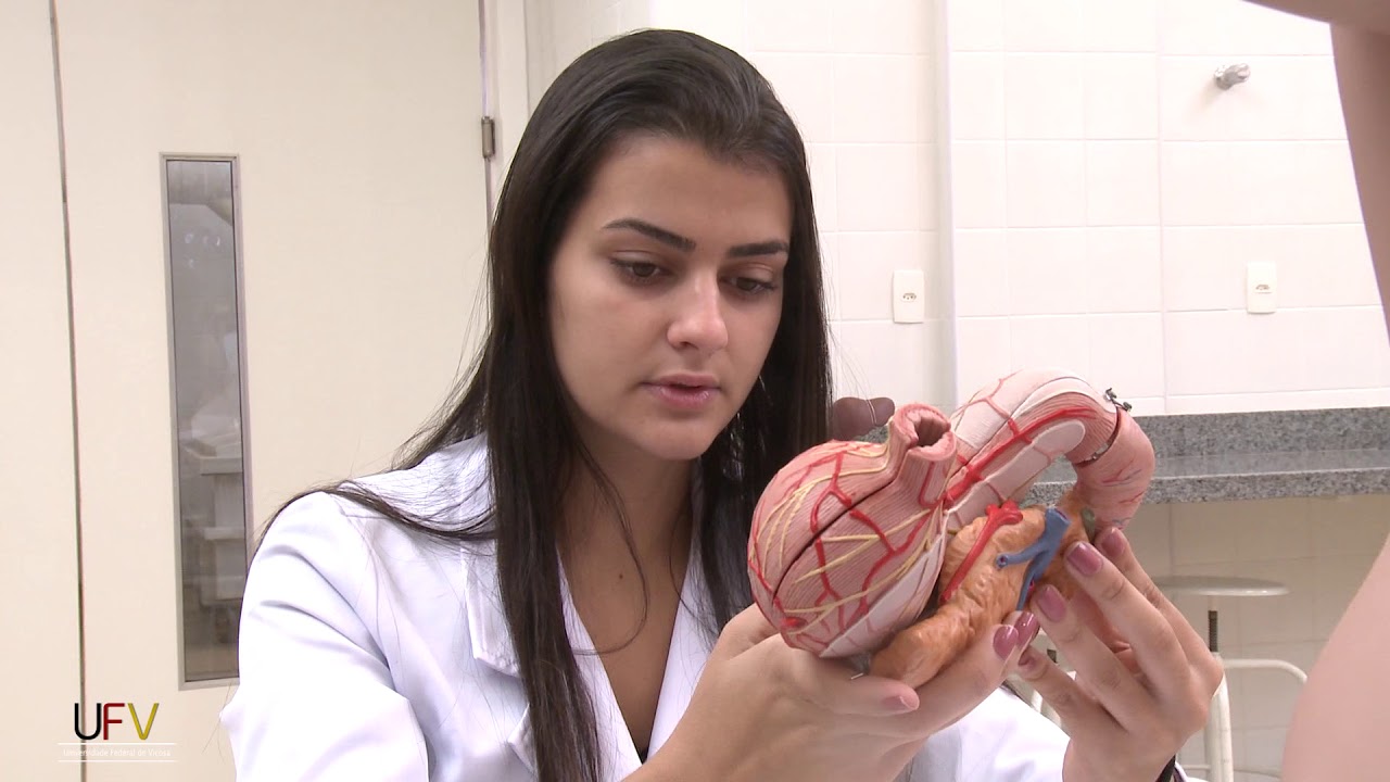 Cursos de graduação da UFV – Ciências Biológicas e da Saúde – Medicina