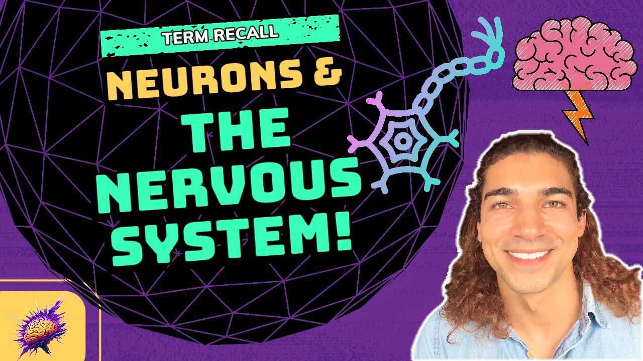 Neurons and The Nervous System - Foundations of Psychology