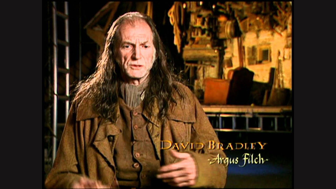 Harry Potter and the Chamber of Secrets - David Bradley short interview
