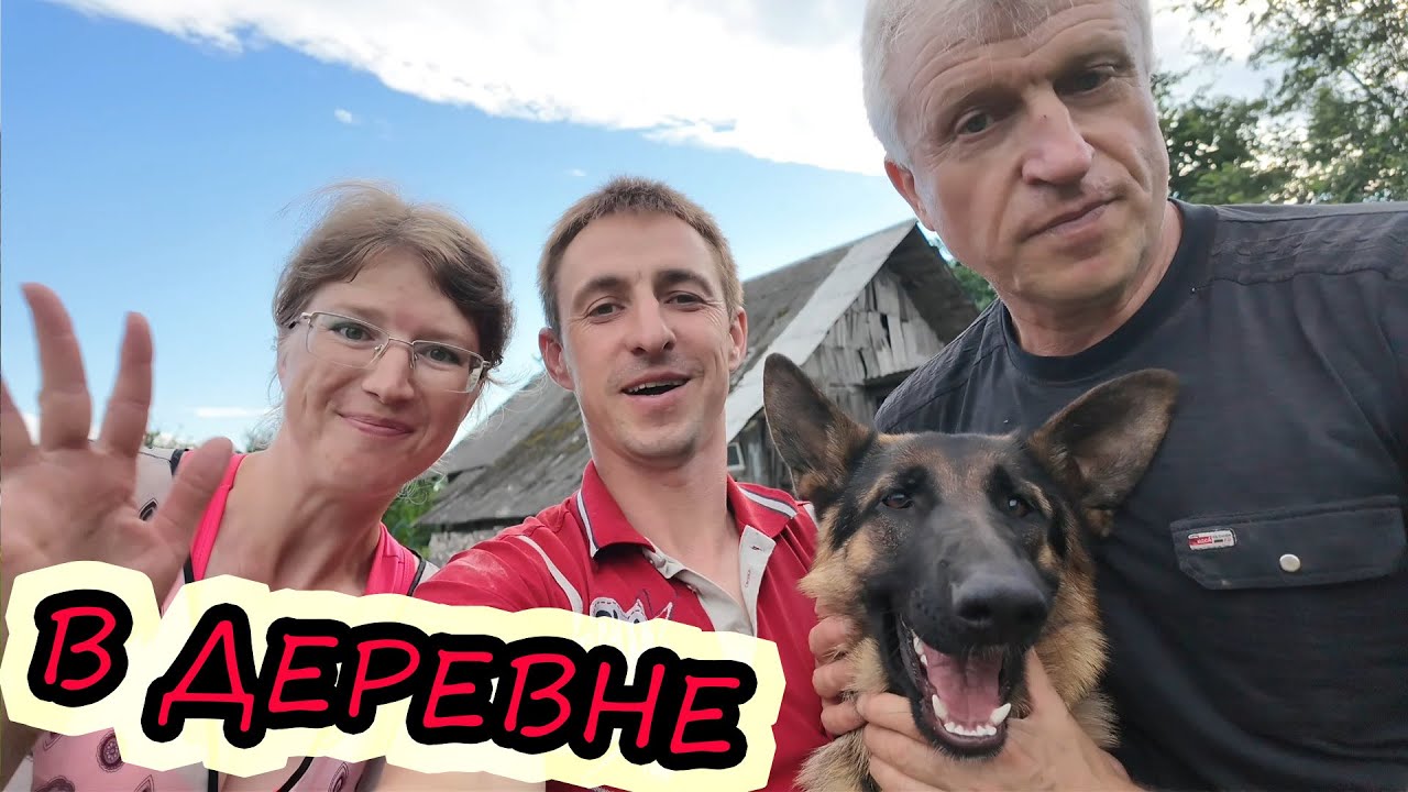 Лето не лето // Мечта БЕЛАРУСА // Вот что сделали // Пополнение //Жизнь в деревне // Семья Лях
