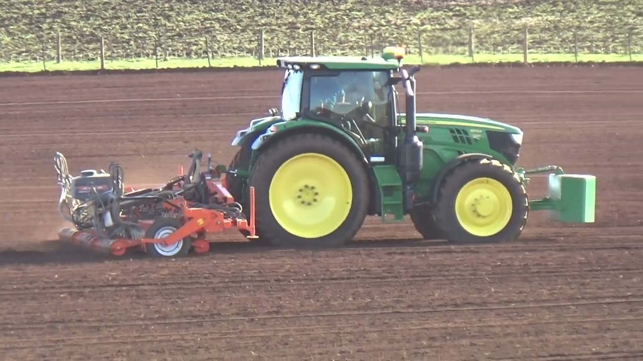 Perfecta Onion Drilling Part 1