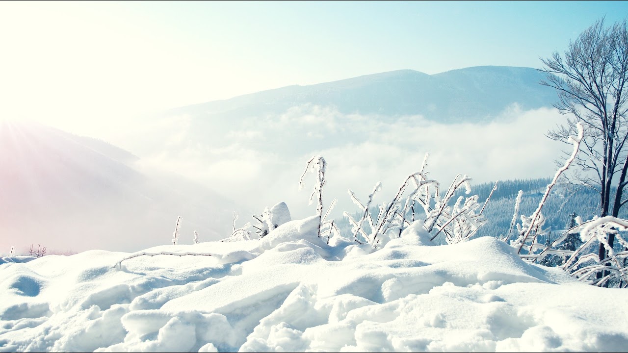 Champions Super ON #1