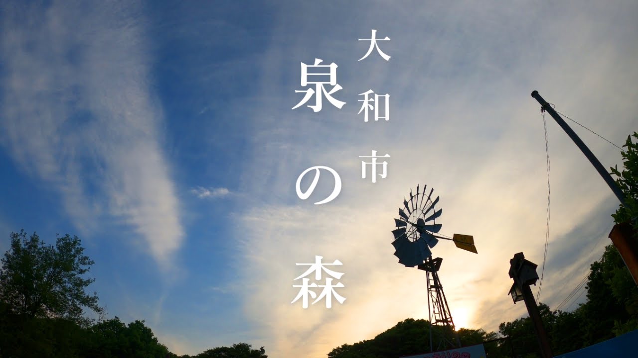 大和市泉の森の自然に感動！